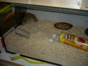 mein KÃ¤fig 002.jpg