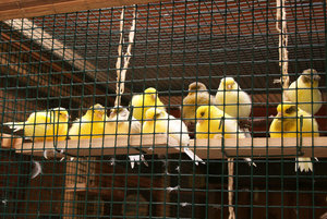 IMG_1676 - Kopie.JPG