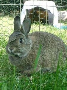 k-Finepix J50 065.jpg