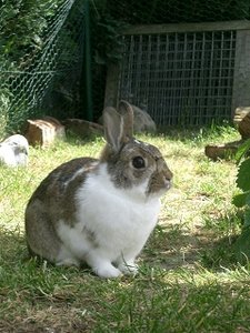 k-Finepix J50 037.jpg