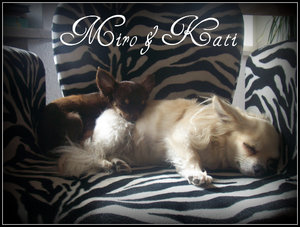 100_5176 - Kopie.JPG