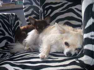 100_5180 - Kopie.JPG