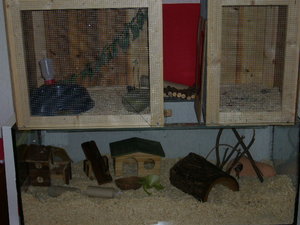 mein KÃ¤fig 004.jpg