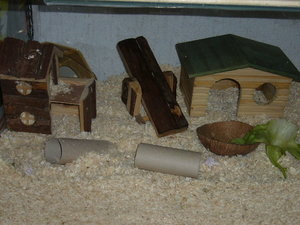 mein KÃ¤fig 005.jpg