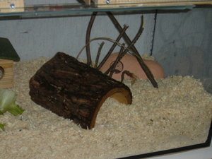 mein KÃ¤fig 006.jpg