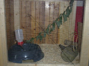 mein KÃ¤fig 007.jpg