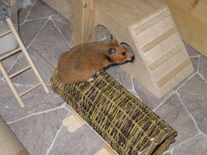 och nix.JPG och nix.JPG