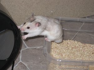 McGee ob man ans rad von auÃŸen kommt.JPG