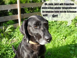 SDC17591-2.JPG SDC17591-2.JPG