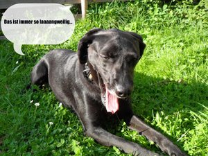 SDC17599-1.JPG SDC17599-1.JPG