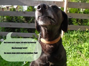 SDC17592-1.JPG SDC17592-1.JPG