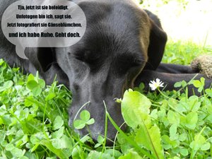 SDC17642-2.JPG SDC17642-2.JPG