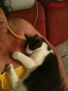 ..schlÃ¤ft auf mir.jpg