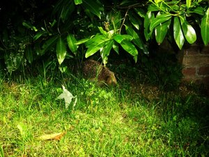 DSCI1382..jpg DSCI1382..jpg