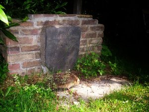 DSCI1383...jpg DSCI1383...jpg