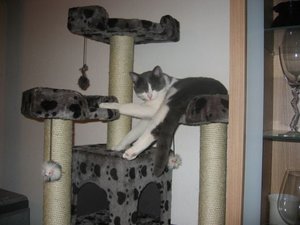 Merlin und Mogli 059.jpg