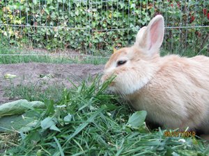 MÃ¤Ã¤h=) 068.jpg