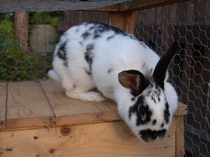 gelÃ¶schtes Albuum ;) 131.JPG