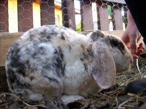 gelÃ¶schtes Albuum ;) 104.JPG