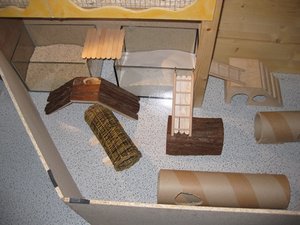 ausllauf links neu.JPG