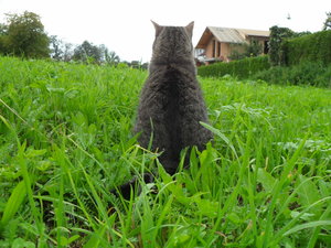 Bilder gemischt 161.JPG