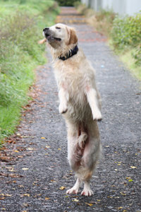 28 september 014.jpg