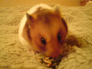 Kamerabilder 329.jpg