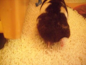 DSCI0329.JPG DSCI0329.JPG