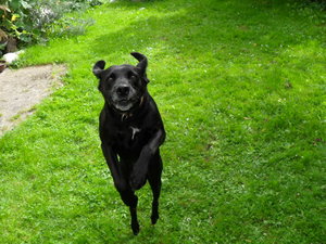 Bilder gemischt 090.JPG