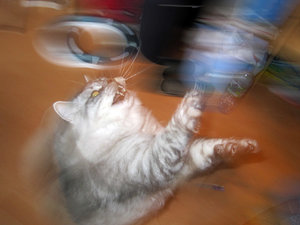 Nero als moderner KunstdÃ¤mon.JPG