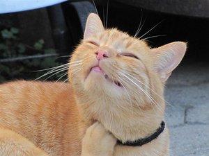 k-IMG_0999 (Large).JPG