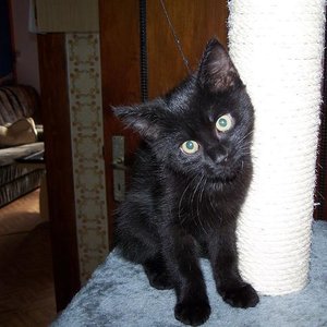 000_0081 - Kopie.JPG