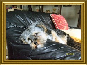 k-BacchusÂ´1.Geburtstag (2).JPG