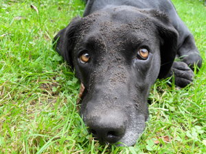 September, Oktober 2010 070.JPG