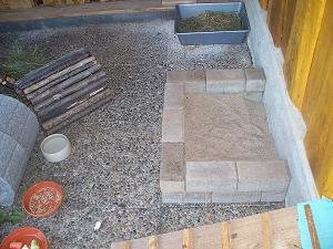 kaninchen Fine u. Merlin 053.jpg