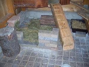 kaninchen Fine u. Merlin 054.JPG