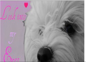 2 look into my eyes als kleiiner.jpg