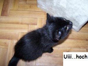 So klein bin ich in Wirklichkeit... - Kopie.JPG