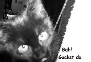Was guckst du nun schon wieder - Kopie.JPG