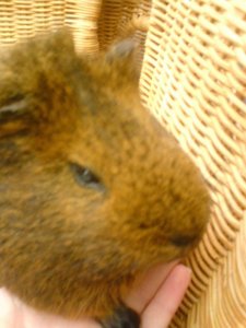 Kamerabilder 269.jpg