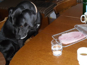 Bilder Dorothee gemischt 575.JPG