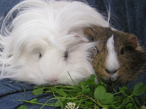 Tommy&MArie (346).JPG