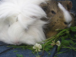 Tommy&MArie (352).JPG