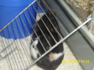 DSCI0172.JPG DSCI0172.JPG