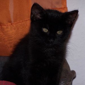 000_0105 - Kopie.JPG