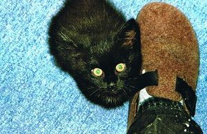 Bis du aber GroÃŸ.JPG