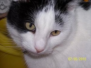 102_2045 - Kopie.JPG