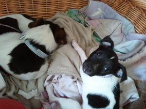 2010-10-15 13.05.44_640x480.jpg