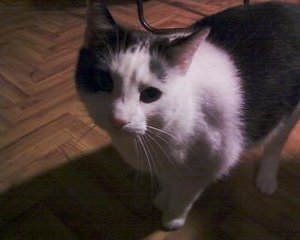 Foto-0019 - Kopie.jpg