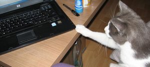 Merlin und Mogli .002.jpg